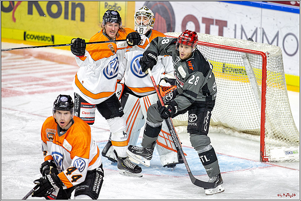 DEL Koelner Haie - Grizzlys Wolfsburg, 23.09.2018